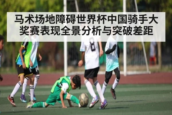 马术场地障碍世界杯中国骑手大奖赛表现全景分析与突破差距